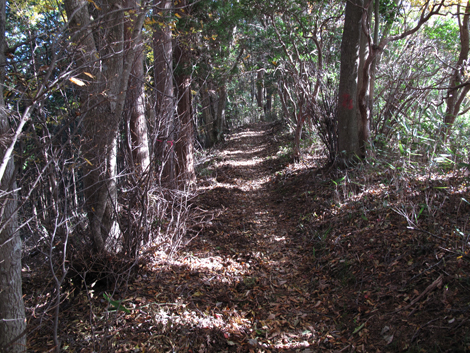 20171102hike (281)